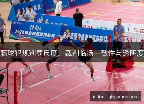 藤球犯规判罚尺度，裁判临场一致性与透明度